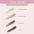 1000 HOUR DAB-ON HAIR COLOUR CONCEALER - BLACK