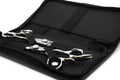 GLOBAL SCISSORS ASHLEY BUNDLE - 5.5 INCH OR 6 INCH SCISSOR AND 6 INCH THINNER