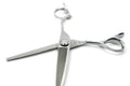 GLOBAL SCISSORS ASHLEY BUNDLE - 5.5 INCH OR 6 INCH SCISSOR AND 6 INCH THINNER