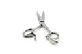 GLOBAL SCISSORS ASHLEY BUNDLE - 5.5 INCH OR 6 INCH SCISSOR AND 6 INCH THINNER