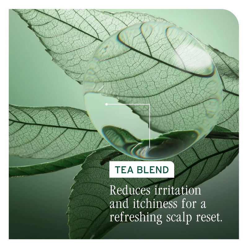 MATRIX BIOLAGE SCALP SYNC CLARIFYING SHAMPOO 400ML