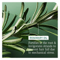 MATRIX BIOLAGE FULL RESCUE CONDITIONER 236ML
