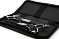 GLOBAL SCISSORS DRAGON BUNDLE - 6 OR 6.5 INCH SCISSOR AND 6 INCH THINNER