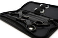 GLOBAL SCISSORS RAVEN MATTE BLACK BUNDLE - 6 OR 7 INCH SCISSOR AND 6 INCH THINNER