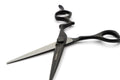 GLOBAL SCISSORS RAVEN MATTE BLACK BUNDLE - 6 OR 7 INCH SCISSOR AND 6 INCH THINNER