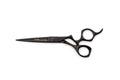 GLOBAL SCISSORS RAVEN MATTE BLACK BUNDLE - 6 OR 7 INCH SCISSOR AND 6 INCH THINNER