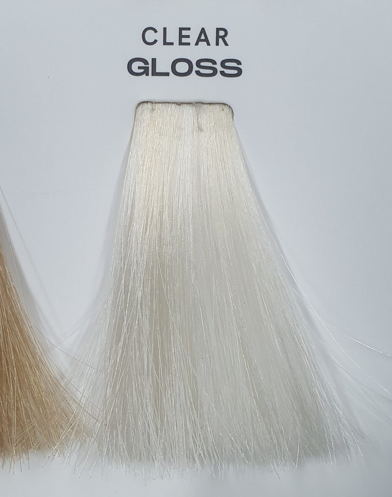 NAK LIQUID GLOSS 60ML