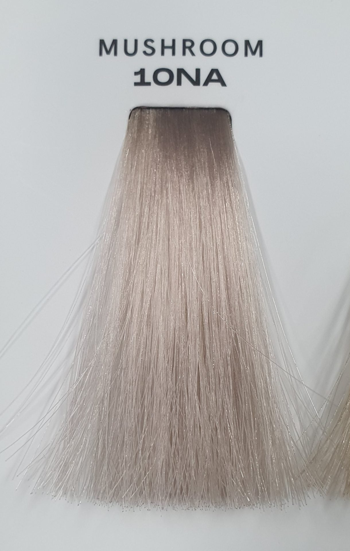 NAK LIQUID GLOSS 60ML Hover Image